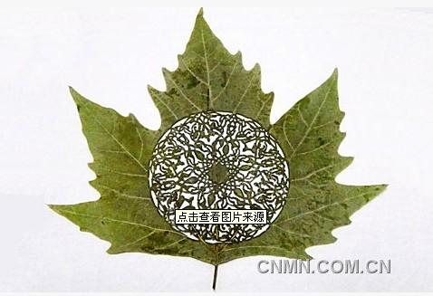 树叶雕刻：Leaf Art2