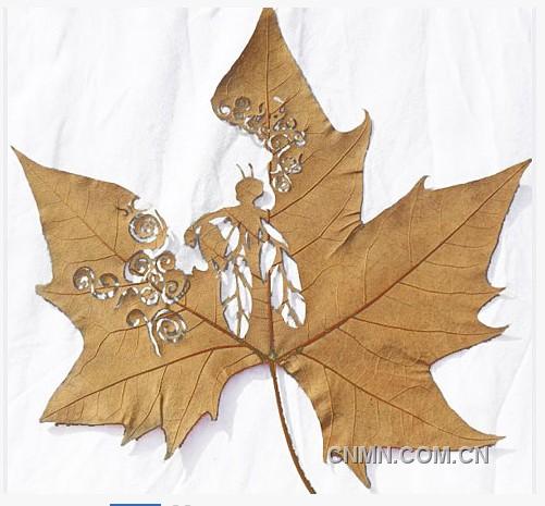 树叶雕刻：Leaf Art