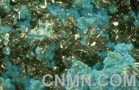 氯铜矿(Atacamite)